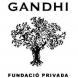 Gandhi, Fundació Privada
